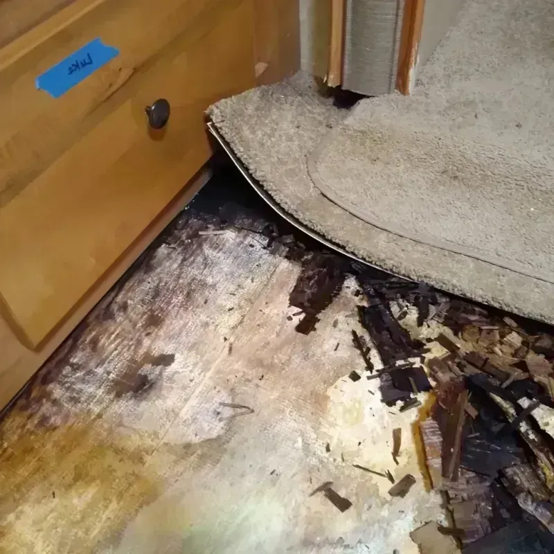 Wood Floor Water Damage in Hamburg, PA